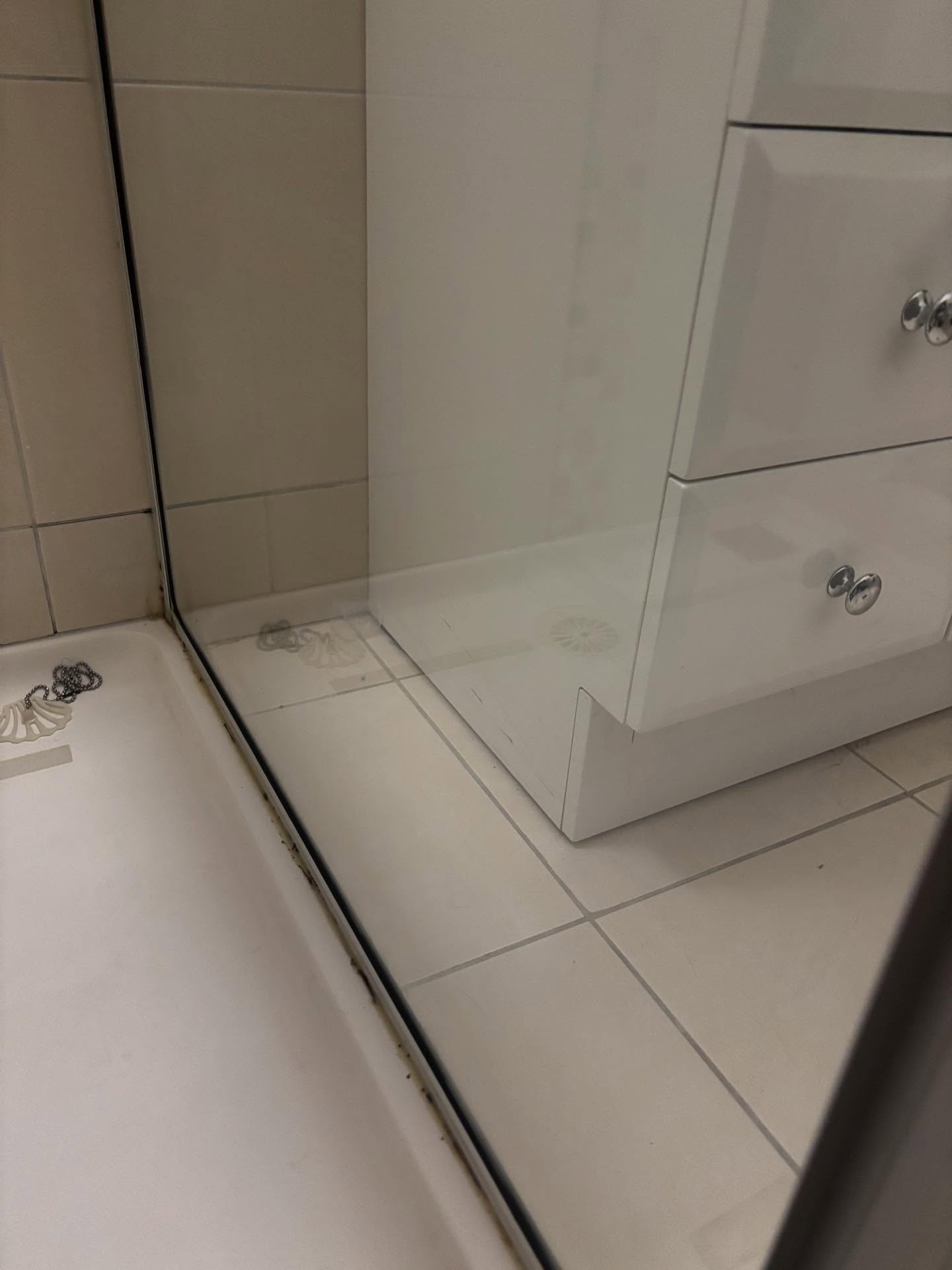 End of lease cleaning